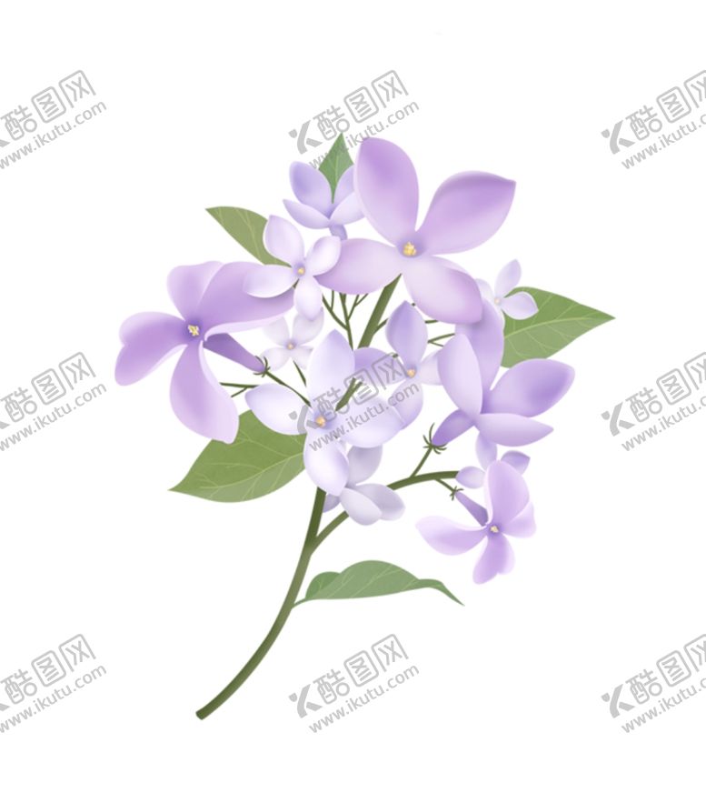编号：13612804300140116638【酷图网】源文件下载-手绘花朵