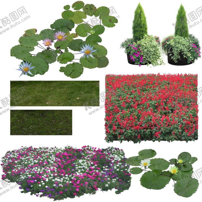 编号：83877905160331125980【酷图网】源文件下载-花卉绿植荷花莲花绿地草坪