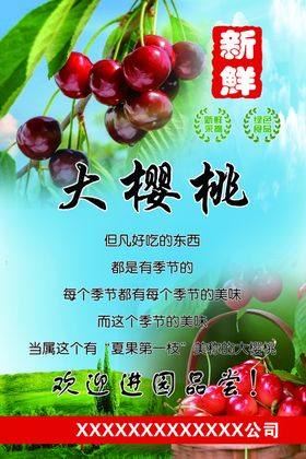 大樱桃