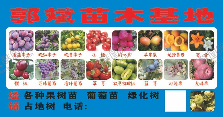 编号：62843510081329239543【酷图网】源文件下载-苗木