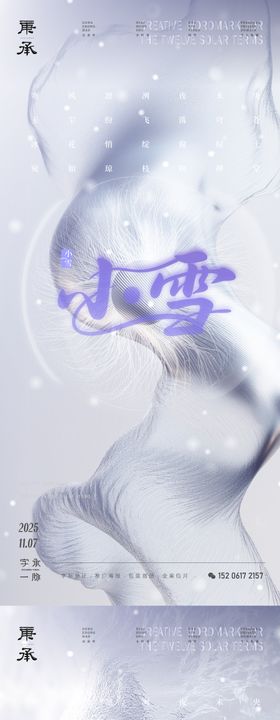 质感小雪节气设计