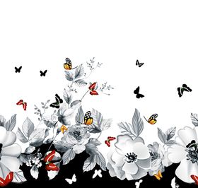 蝴蝶花手绘花黑白花