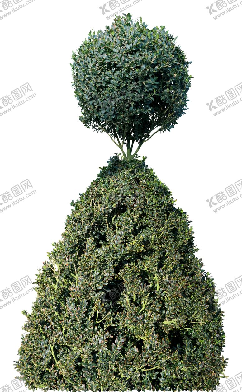 编号：77667507071957229115【酷图网】源文件下载-绿色植物树木素材