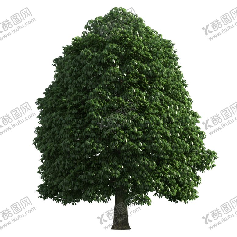 编号：94492909272200019649【酷图网】源文件下载-景观树