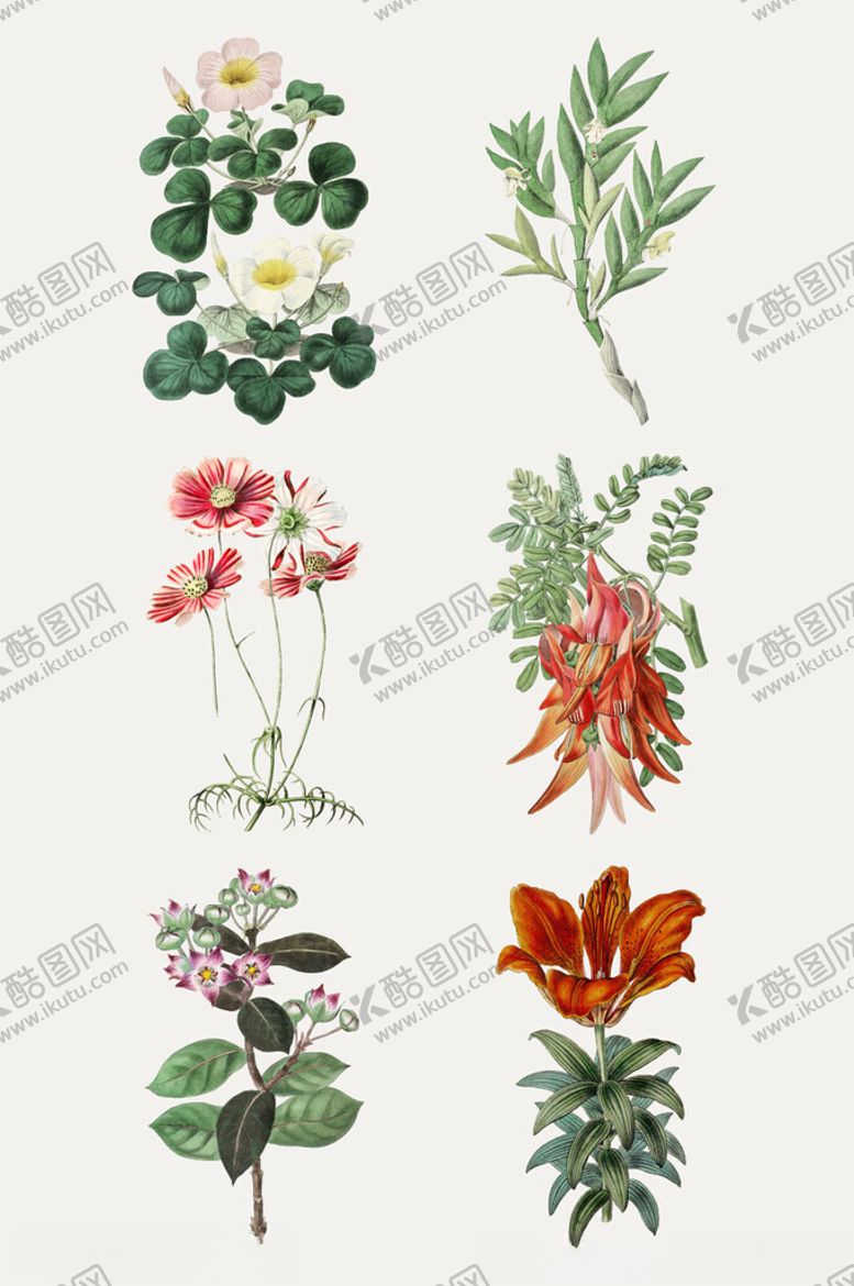编号：50248502270430189143【酷图网】源文件下载-手绘水彩绿植插画元素