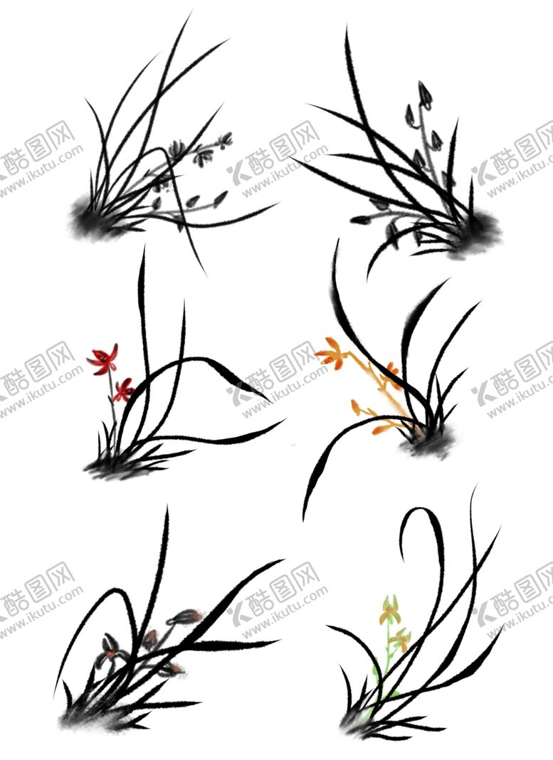 编号：94639604252320018981【酷图网】源文件下载-兰花插画素材