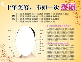 美容店拨筋展板
