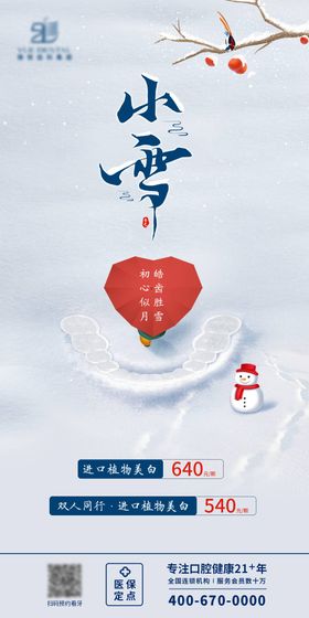 小雪海报