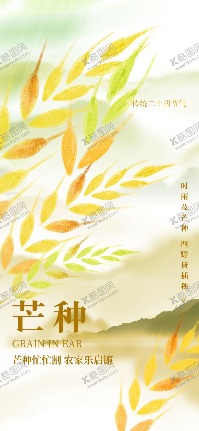 编号：92372504110132549768【酷图网】源文件下载-芒种时节的清新麦穗画面