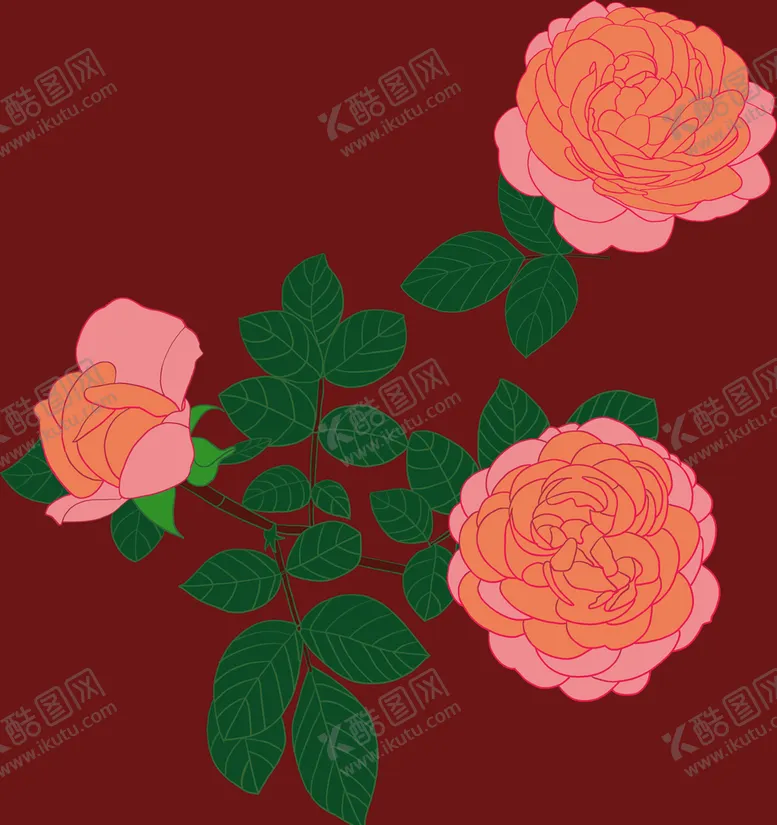编号：63710209161600223728【酷图网】源文件下载-蔷薇花