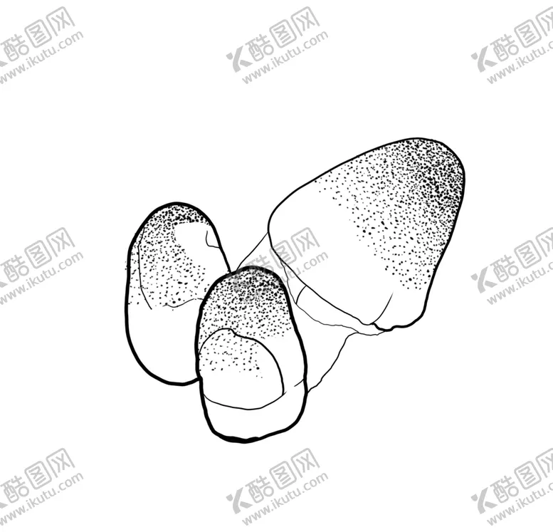 编号：58257607121553336077【酷图网】源文件下载-草菇