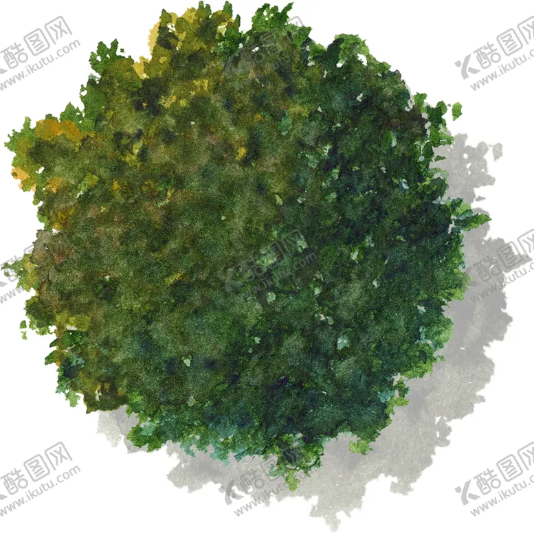 编号：78917704172113322614【酷图网】源文件下载-手绘植物
