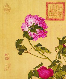 牡丹花
