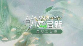 家装春分节气海报