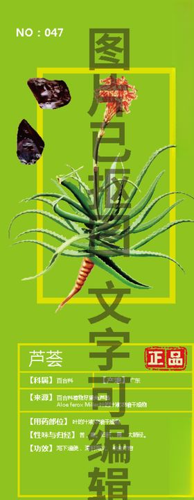 芦荟