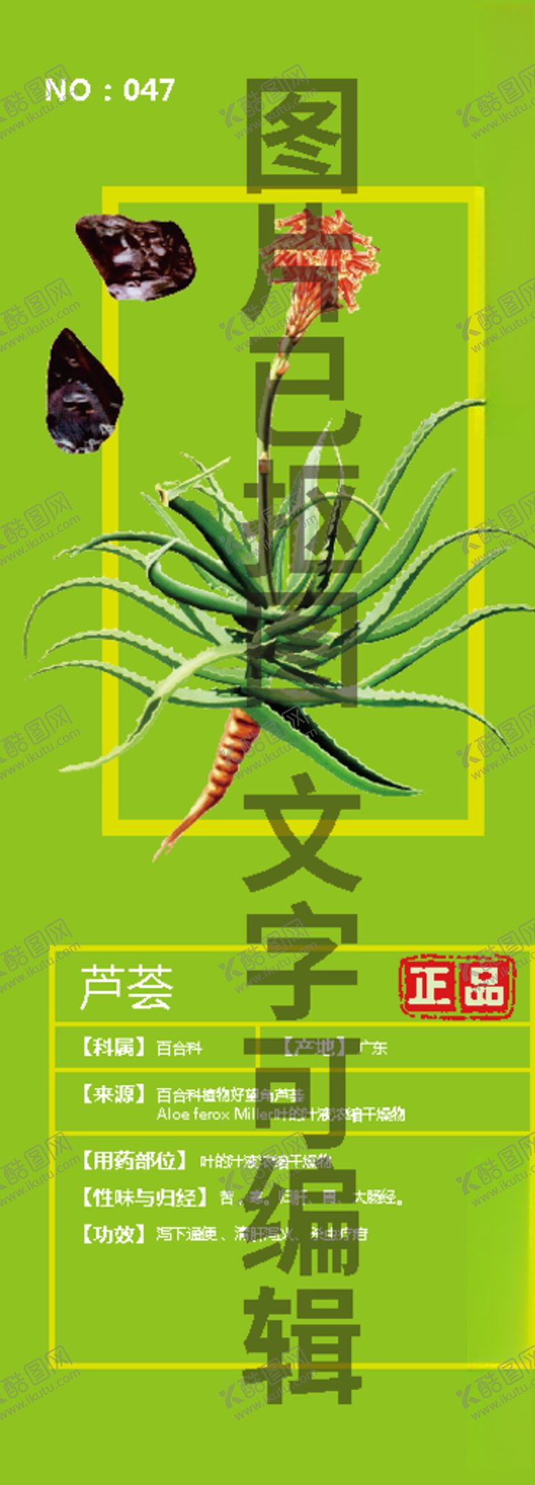 编号：54367409241224186133【酷图网】源文件下载-芦荟