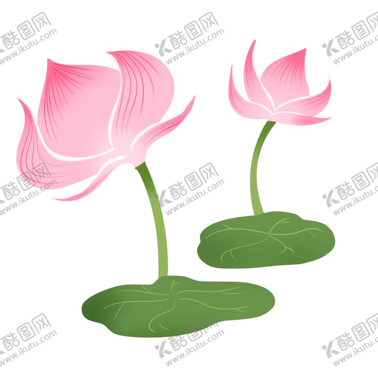 编号：70113605040447349657【酷图网】源文件下载-荷花元素