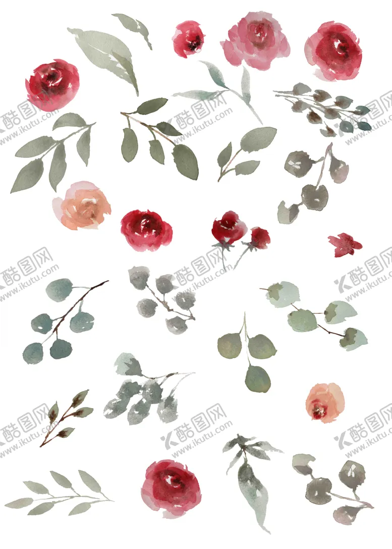 编号：44153004150314083651【酷图网】源文件下载-植物手绘