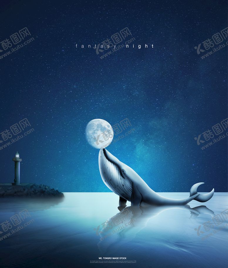 编号：67941210010416506203【酷图网】源文件下载-星空月球创意海报设计