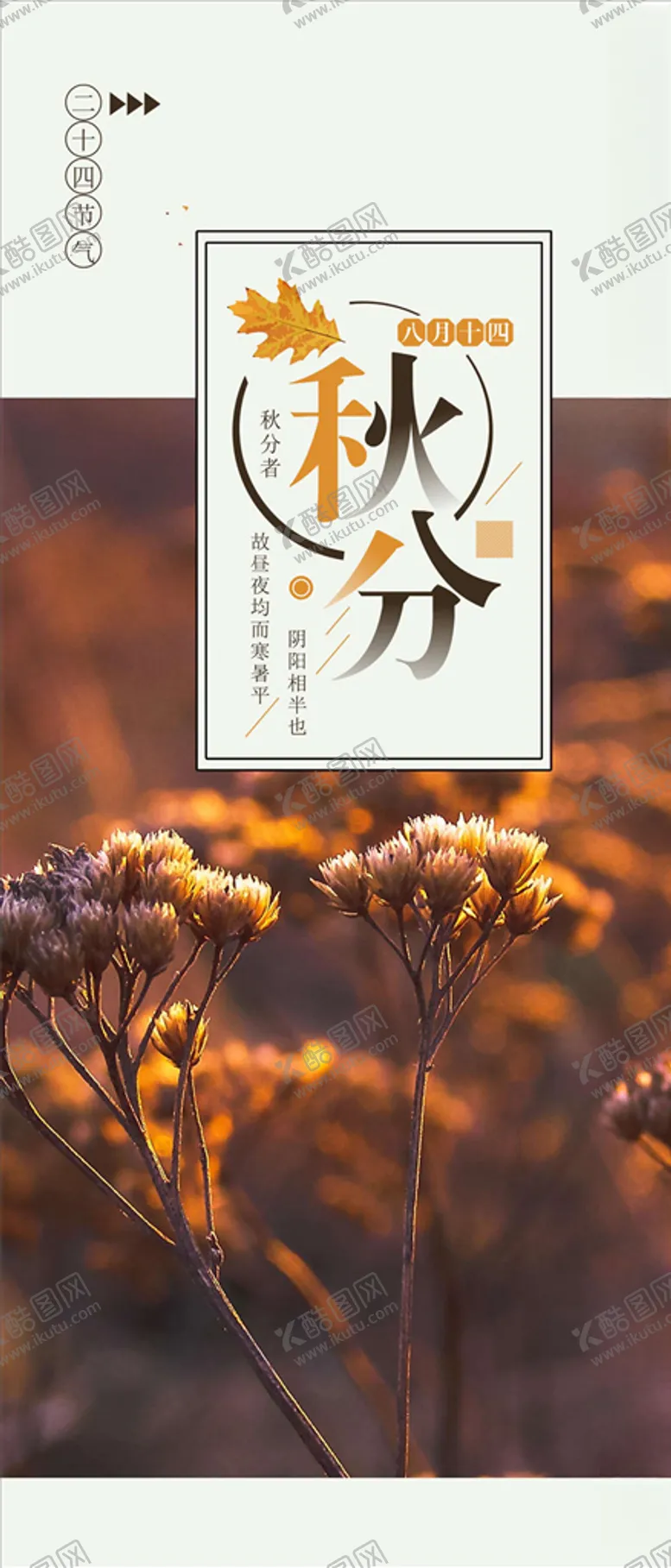 编号：20841306142215255259【酷图网】源文件下载-秋分手机海报