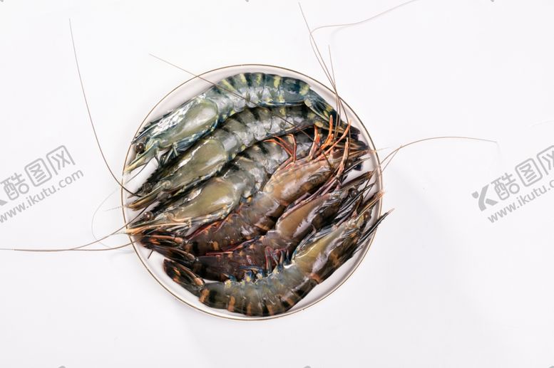 编号：27380809220119479115【酷图网】源文件下载-鲜活九节虾俯拍