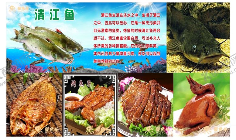 编号：36592910191415501572【酷图网】源文件下载-清江鱼
