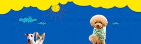 宠物海报淘宝banner清爽背景促销banner