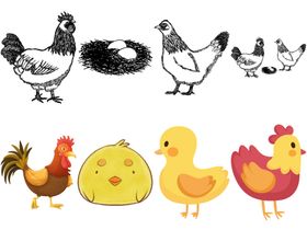 卡通鸡