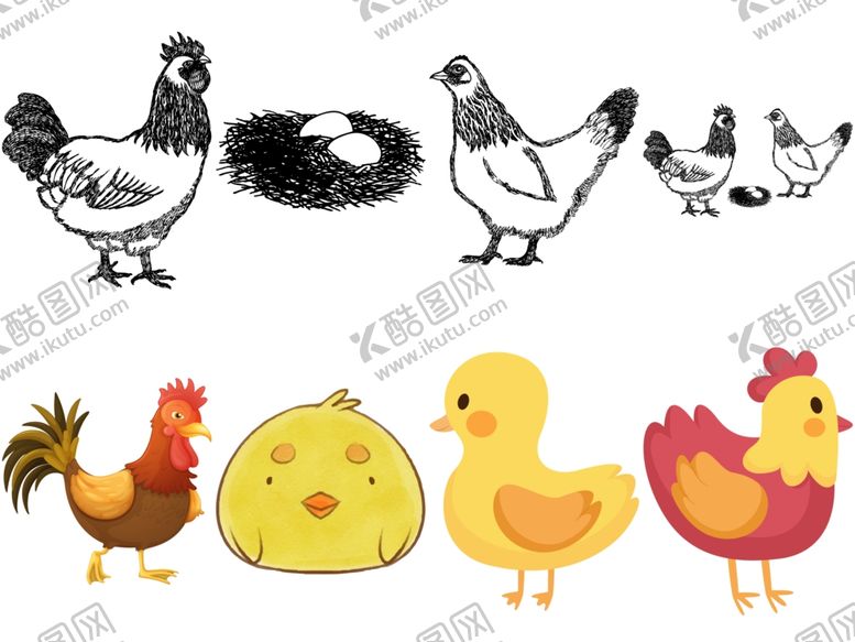 编号：57082109221224053359【酷图网】源文件下载-卡通鸡