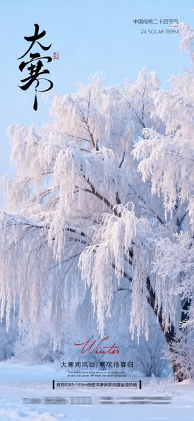 大寒节气海报