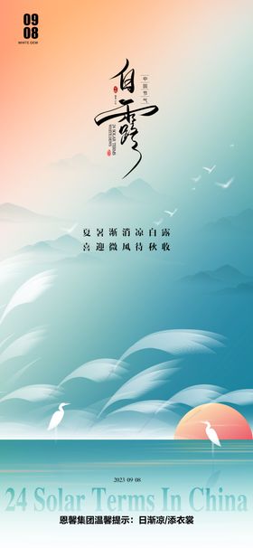 白露节气海报清新芦苇二十四