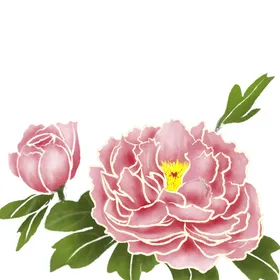 牡丹花