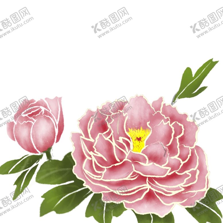 编号：83351310210935406658【酷图网】源文件下载-牡丹花