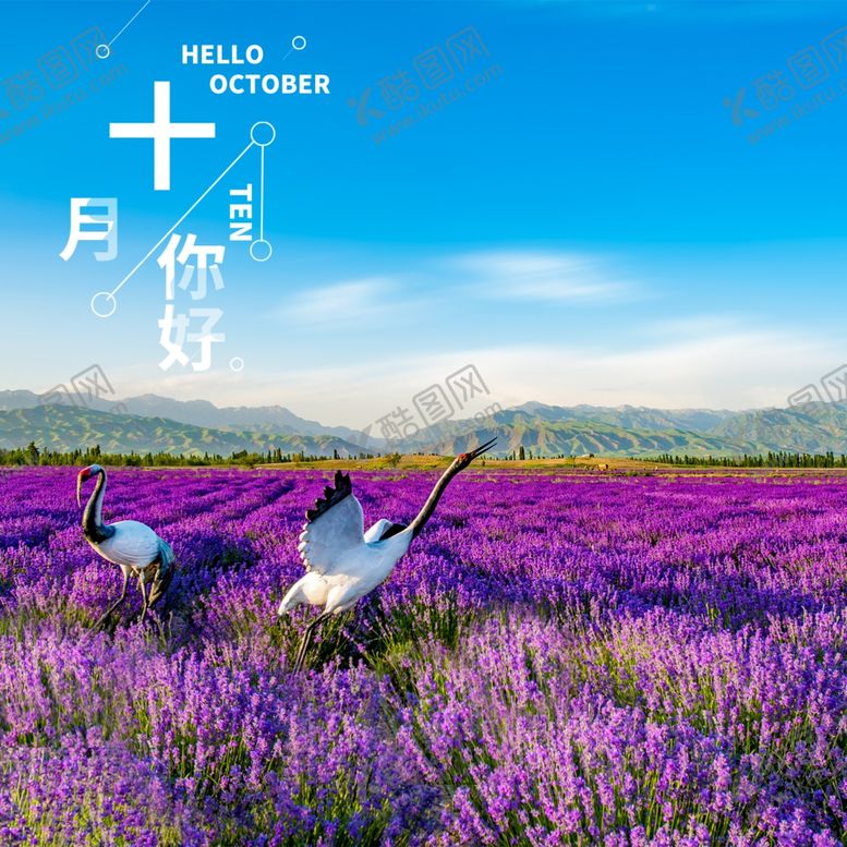 编号：47626705050405183145【酷图网】源文件下载-十月你好