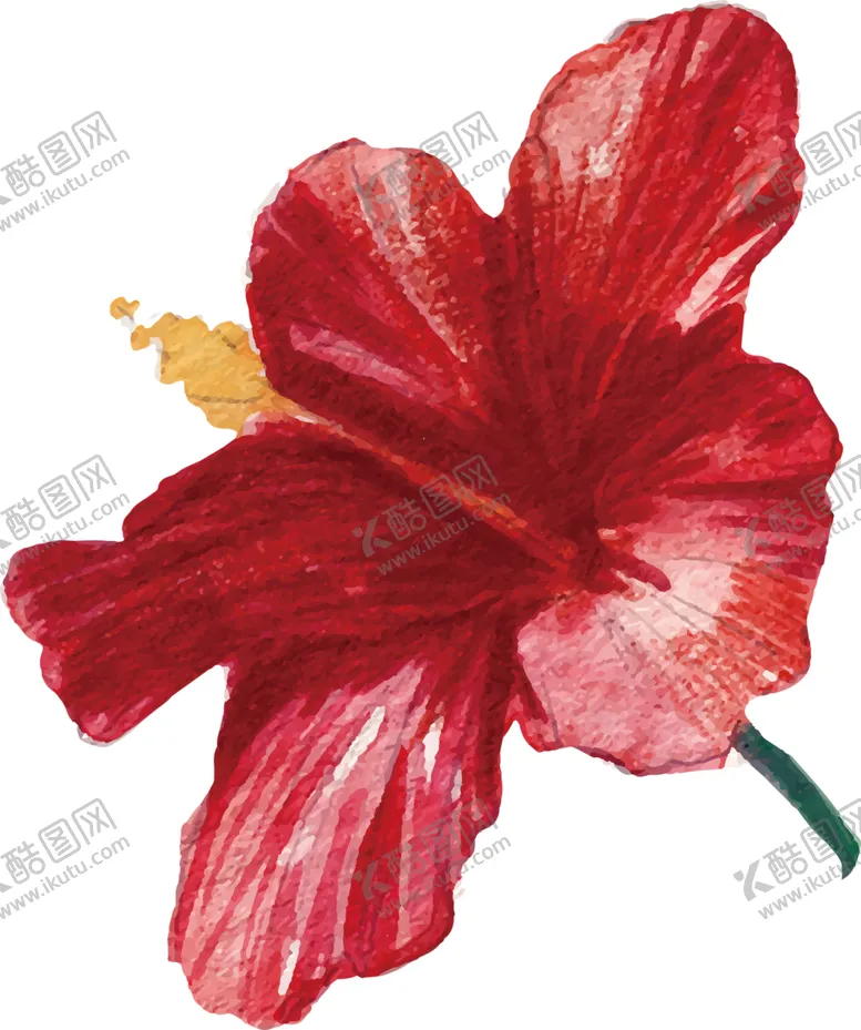 编号：32315306241029376889【酷图网】源文件下载-鲜花素材