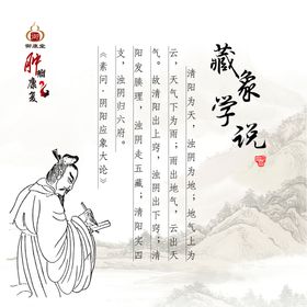 中医藏象