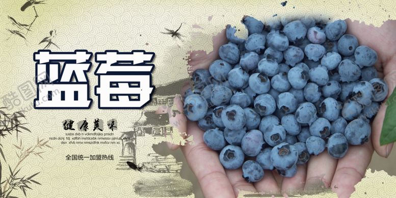 编号：39879709141850248709【酷图网】源文件下载-蓝莓