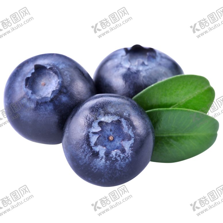编号：62744310130222437136【酷图网】源文件下载-免扣水果蓝莓