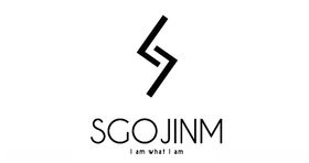 矢量logo标志S字母元素