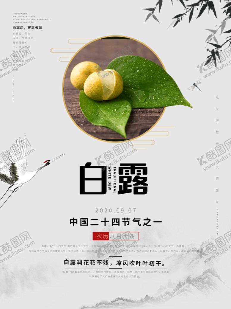 编号：25771707031942142384【酷图网】源文件下载-白露海报