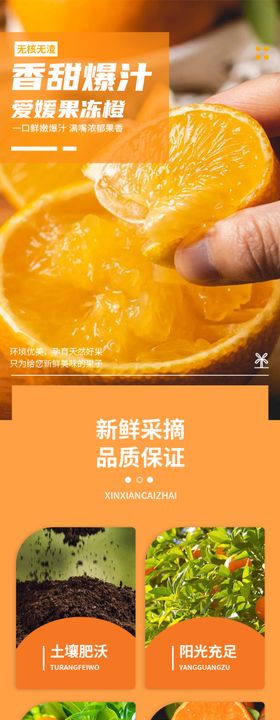 橘子详情页