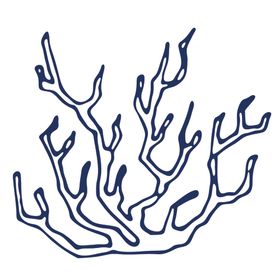 手绘海洋生物
