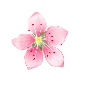 花朵无缝纹面料印瓷砖图案