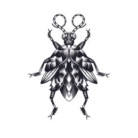 线描昆虫