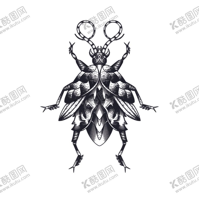 编号：93165807070031299097【酷图网】源文件下载-线描昆虫