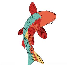 鲤鱼矢量图