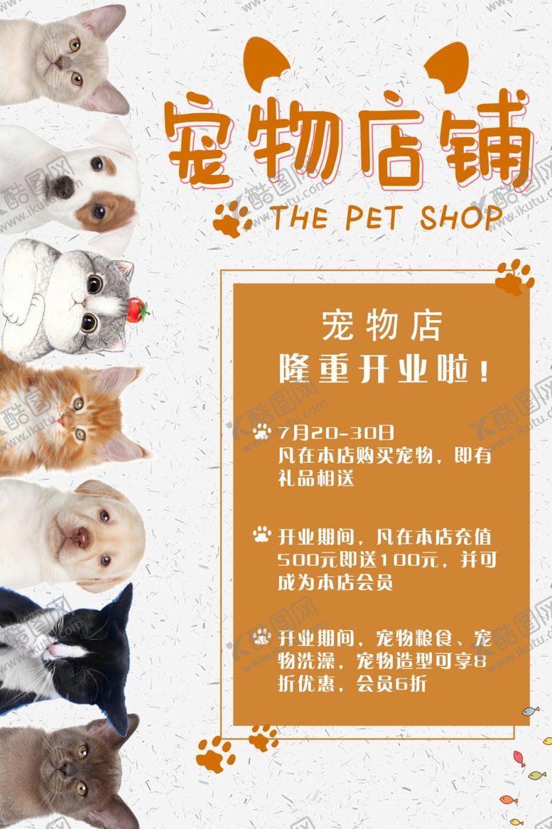 编号：93585005120028162483【酷图网】源文件下载-宠物