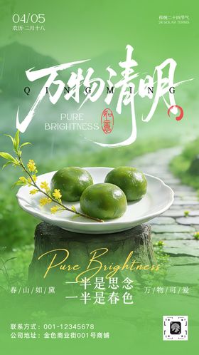 清明节气宣传海报