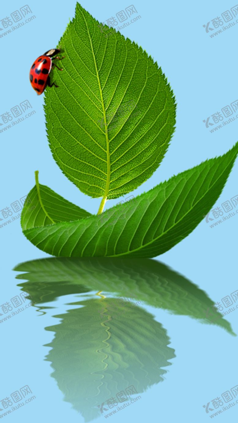 编号：69786810301542417369【酷图网】源文件下载-帆船