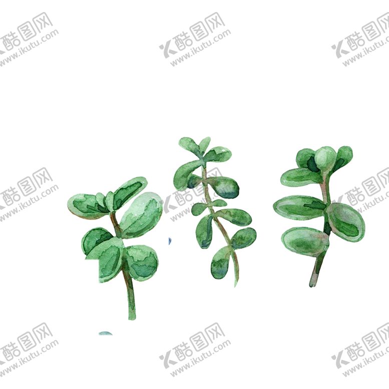 编号：59603009290428173801【酷图网】源文件下载-植物